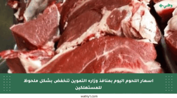 أسعار اللحوم اليوم بمنافذ وزارة التموين تنخفض بشكل ملحوظ للمستهلكين